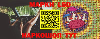 Альфа ПВП Новокубанск