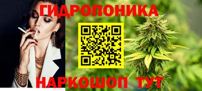 дживик Новозыбков