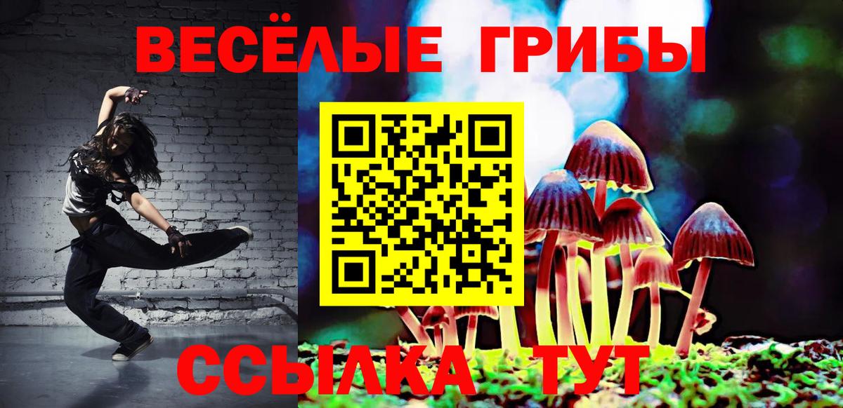 Псилоцибиновые грибы прущие грибы Углич