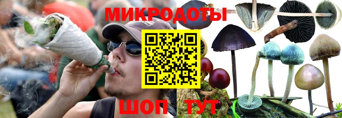Псилоцибиновые грибы ЛСД  Галлюциногенные грибы прущие грибы  Углич  Вход с VPN 